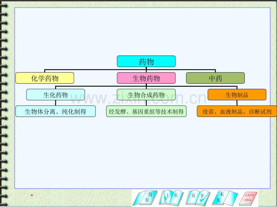 第十三章生物制品PPT课件.ppt_第3页