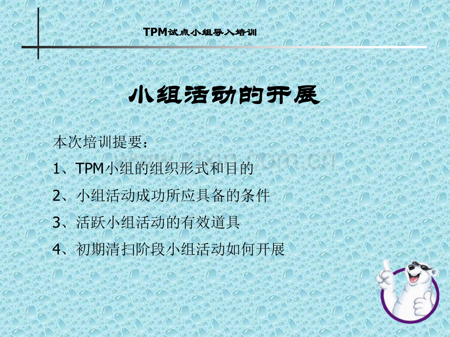 TPM试点线样板区域.ppt_第1页