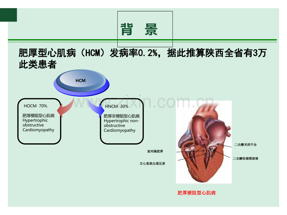 肥厚梗阻型心肌病的外科治疗.ppt_第2页