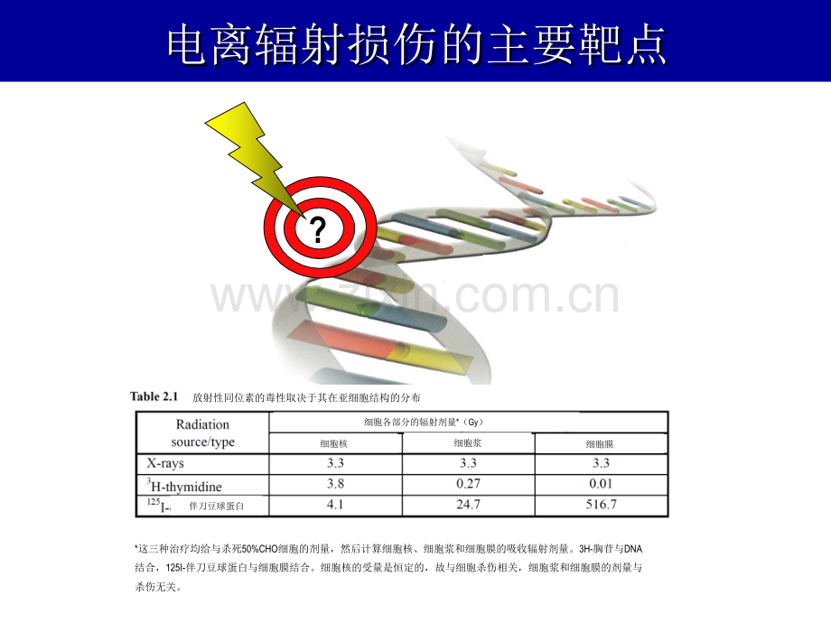 心脑血管药理、食管癌放疗增敏研究dna损伤反应最终.ppt_第2页