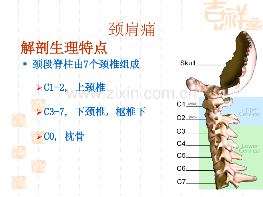 第三十八章--颈肩痛与腰腿痛病人的护理PPT课件.ppt_第2页