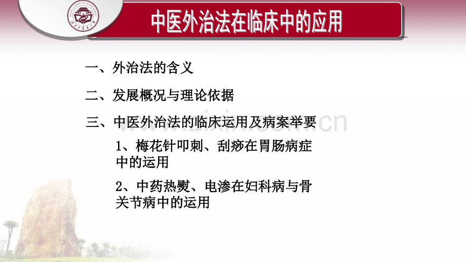 中医外治法在临床中的应用.pptx_第2页