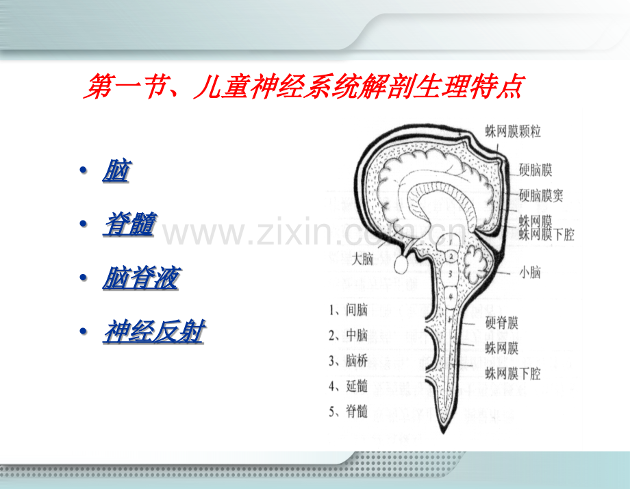 第十三章神经系统疾病患儿的护理a.ppt_第3页