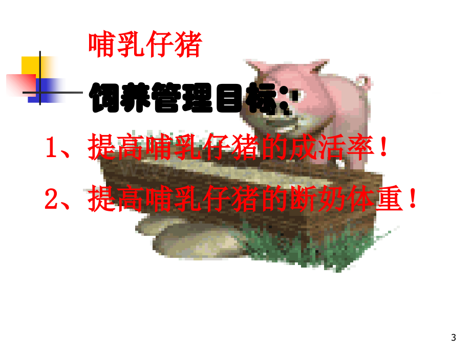 哺乳仔猪的饲养管理与营养保健.ppt_第3页