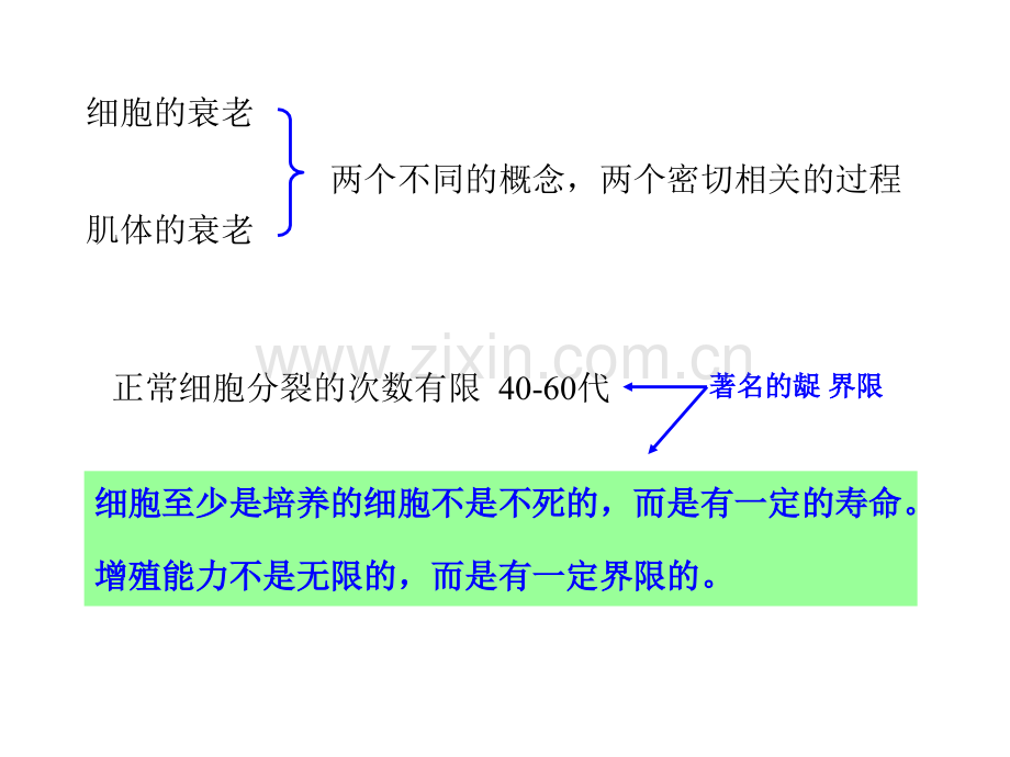 12-细胞衰老与死亡-PPT课件.ppt_第3页