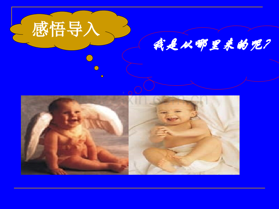 滕北辛婴儿的诞生.ppt_第3页