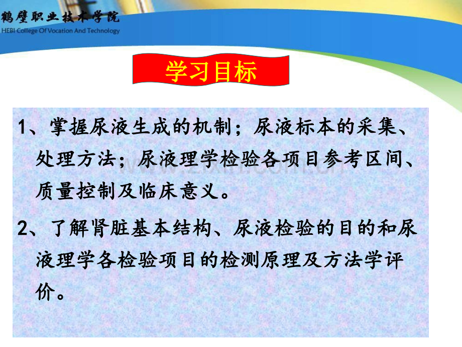 项目九尿液理学检验.ppt_第2页