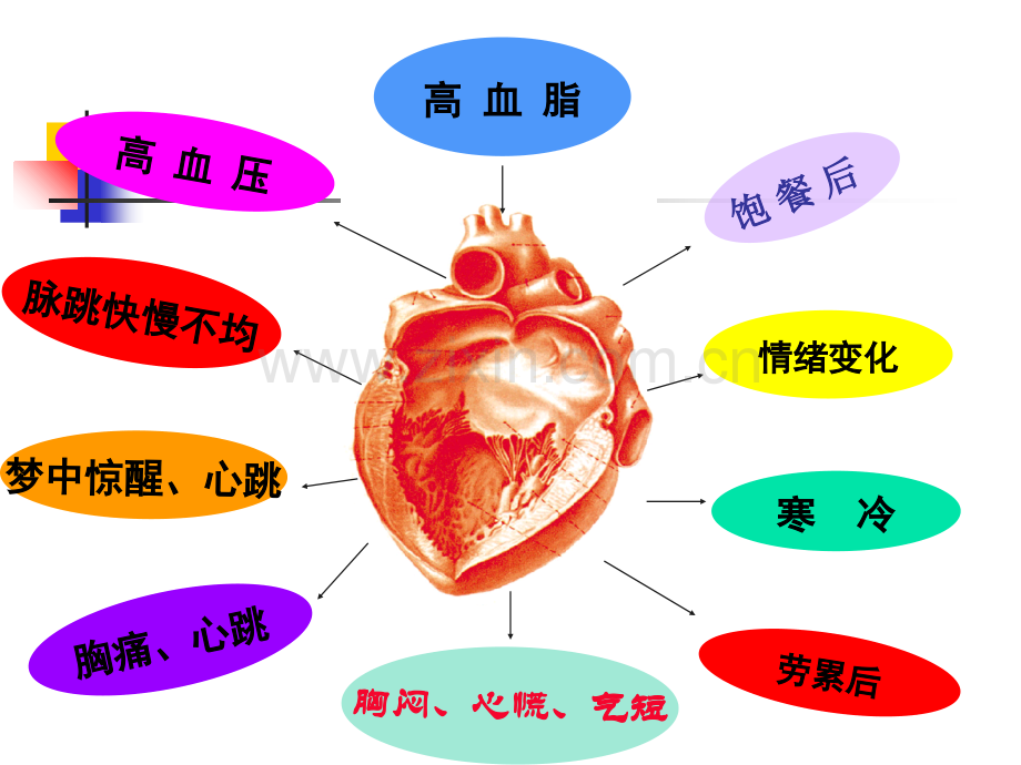 胸痹心痛中医源流.ppt_第2页