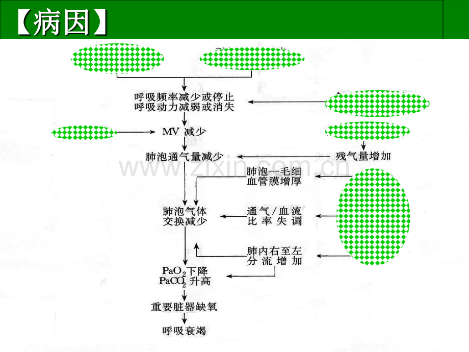 呼吸衰竭MicrosoftPowerPoint演示文稿PPT课件.ppt_第3页