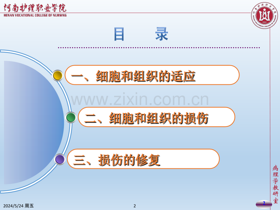 组织的适应损伤与修复.ppt_第2页