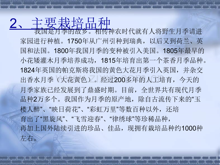 设施花卉栽培——月季PPT课件.ppt_第3页