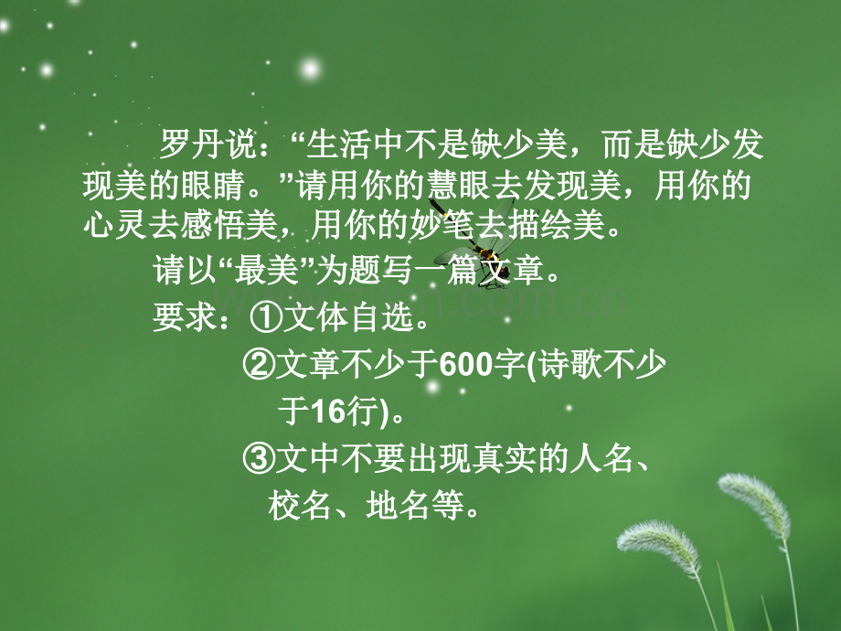 中考作文最美.ppt_第2页