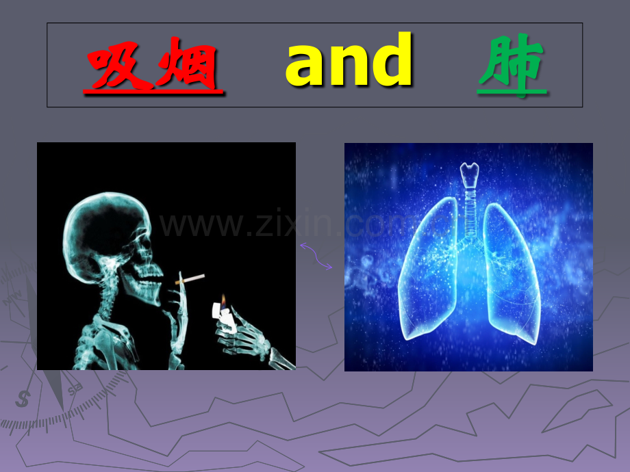 吸烟与肺PPT课件.ppt_第1页