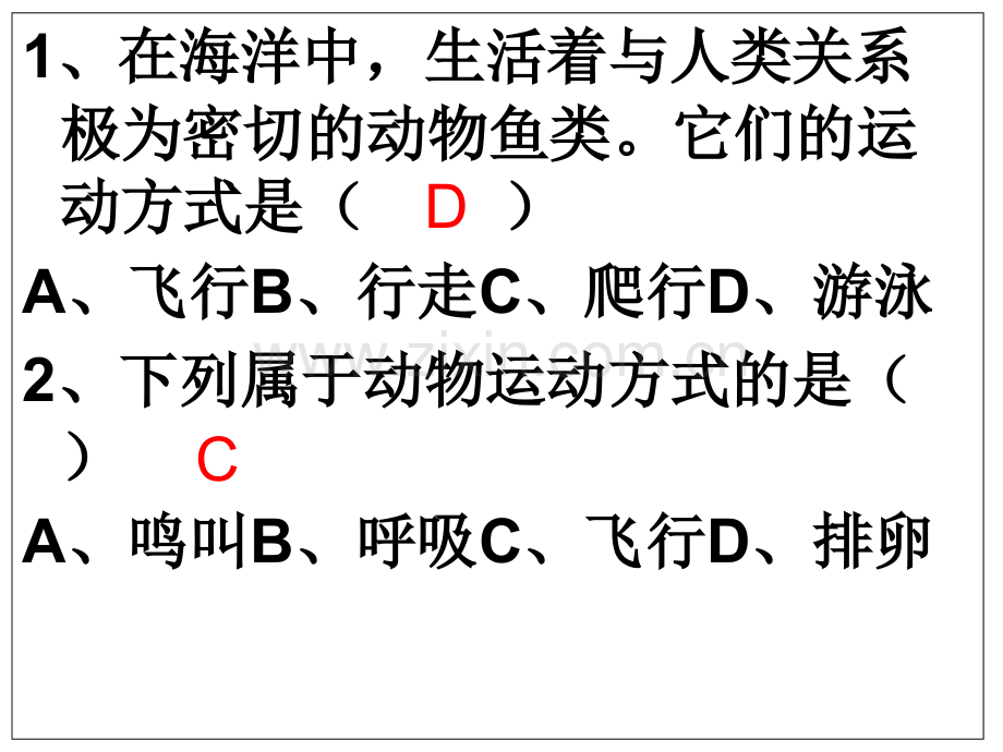 第二节动物的运动PPT课件.ppt_第3页