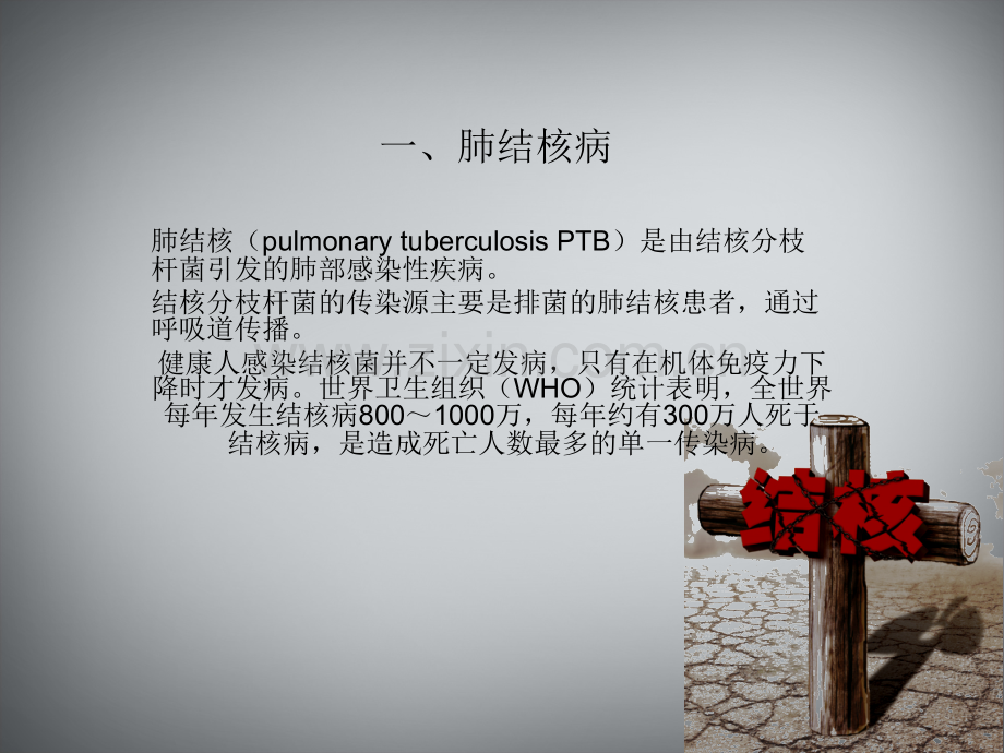 肺结核病的护理.ppt_第2页