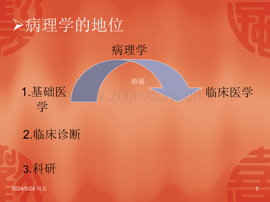 1绪论适应损伤-PPT课件.ppt_第3页