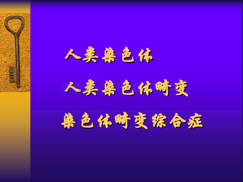 染色体病.ppt_第2页