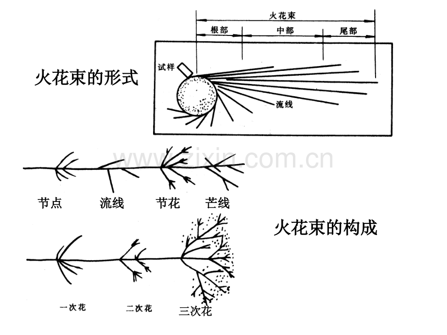 钢的火花鉴别.ppt_第2页