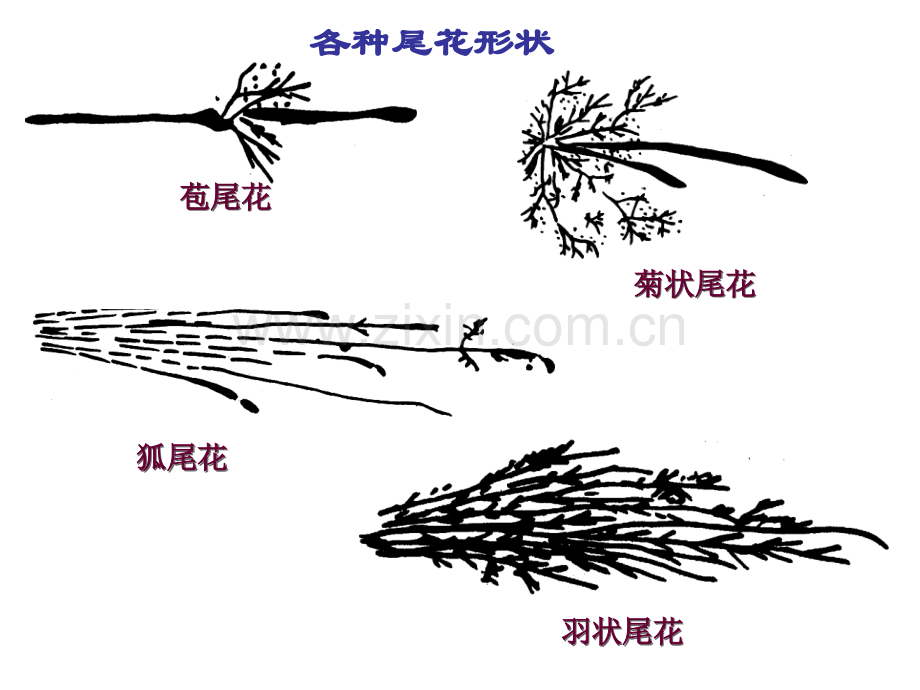 钢的火花鉴别.ppt_第3页