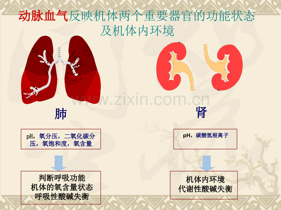 儿科常用生化检验及正常值.ppt_第3页