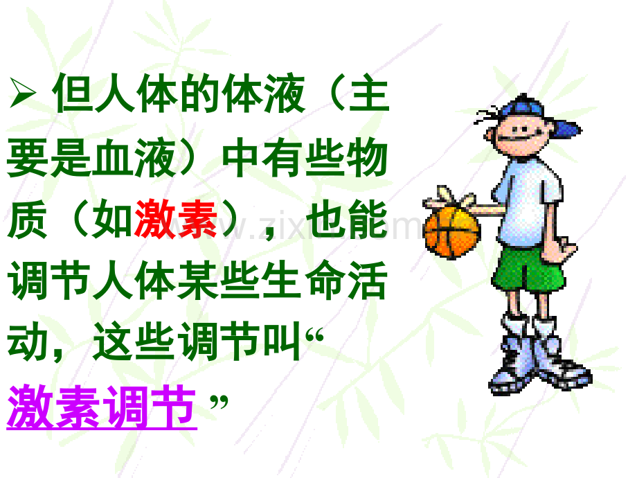 激素调节0.ppt_第3页