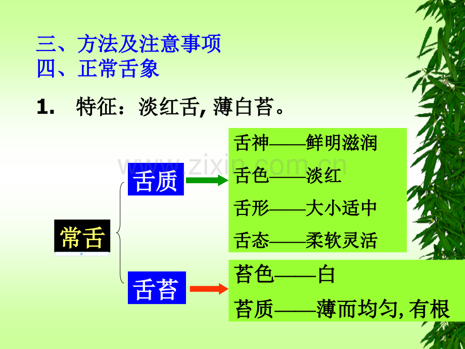 中医诊断望舌.ppt_第3页