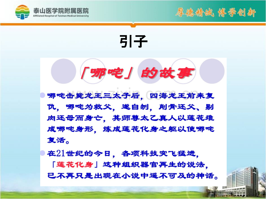 组织工程应用.ppt_第2页