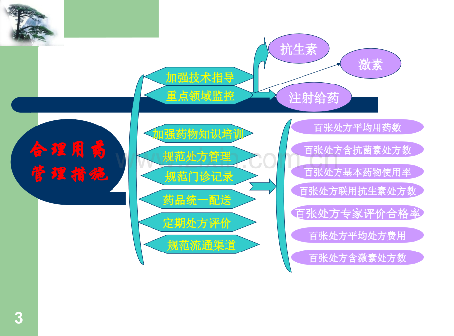 处方点评与合理用药.ppt_第3页