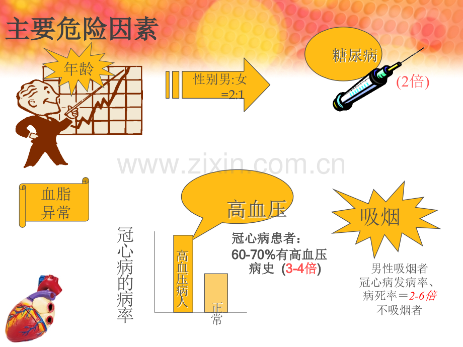 心内科常见药品知识.ppt_第2页