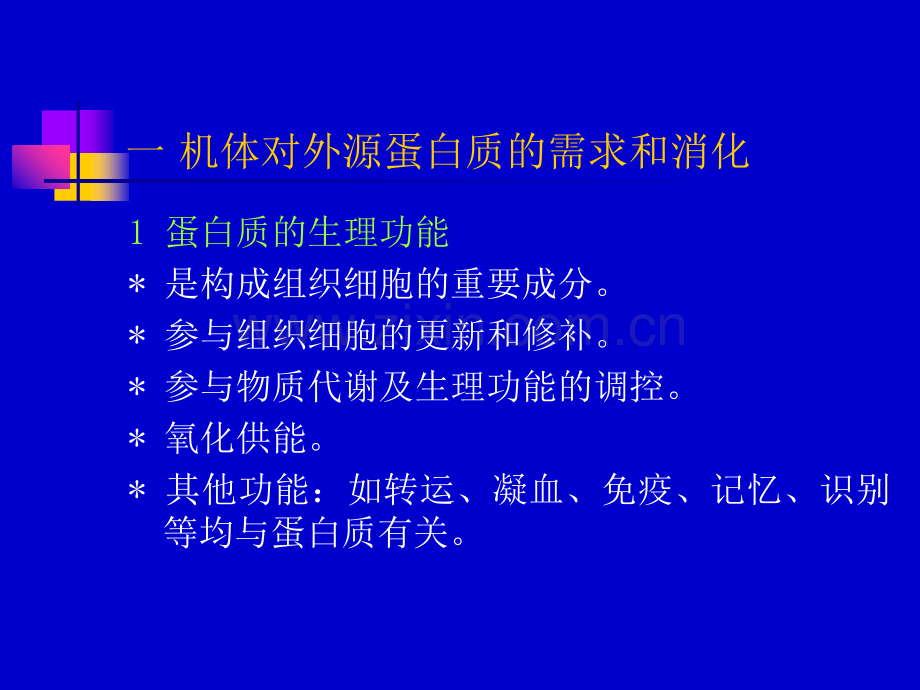 蛋白质和氨基酸代谢.ppt_第3页