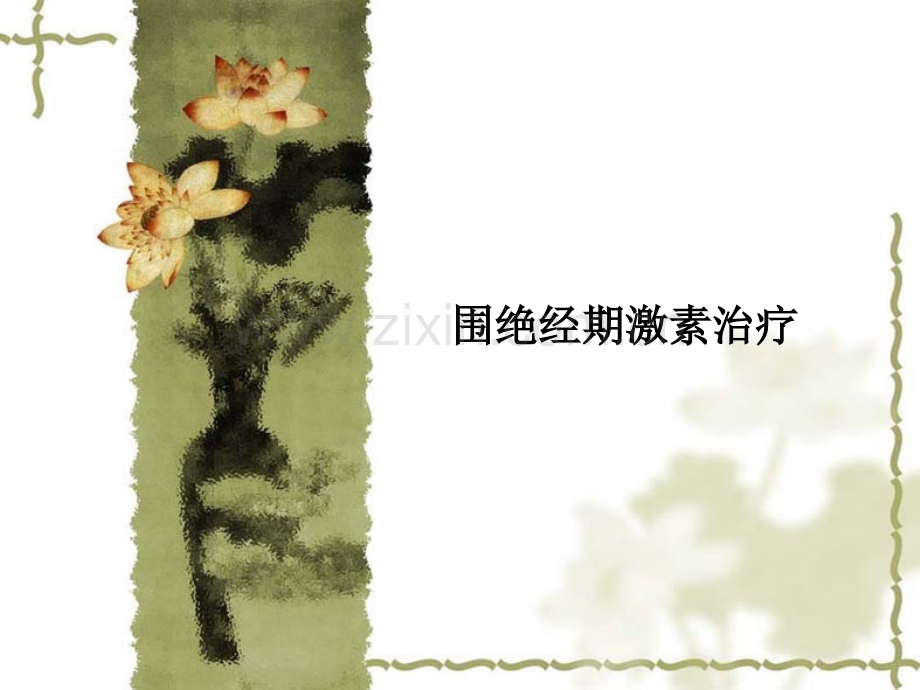 围绝经期激素治疗.ppt_第1页