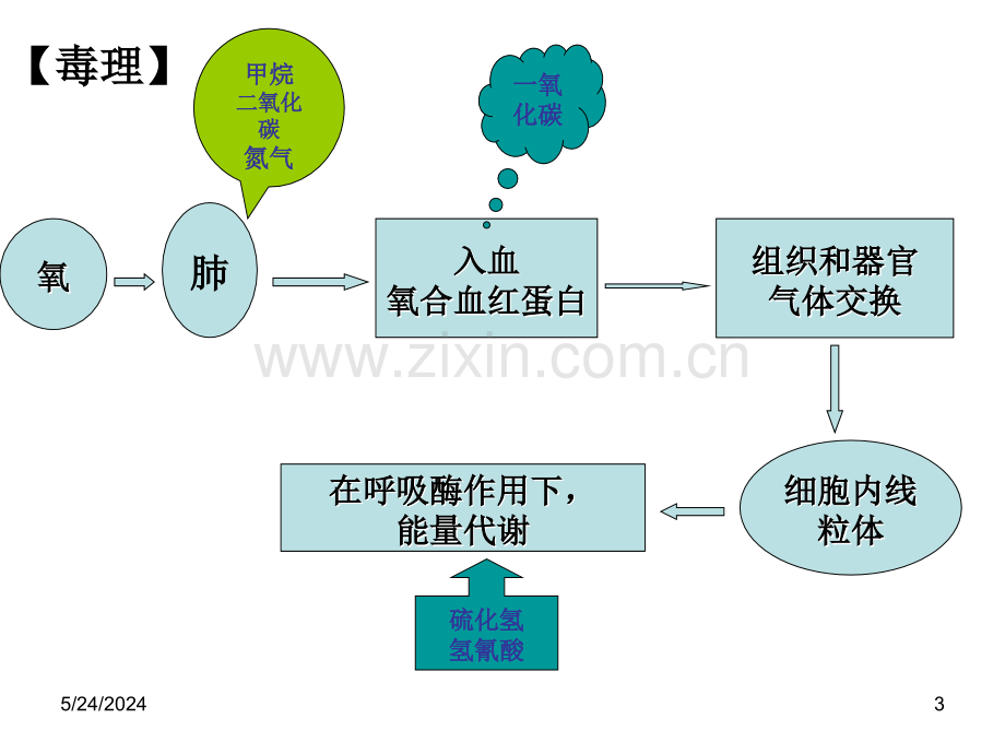 窒息性气体-PPT课件.ppt_第3页