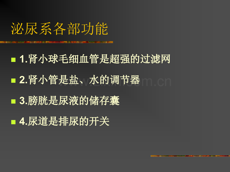 泌尿系统疾病54PPT课件.ppt_第3页