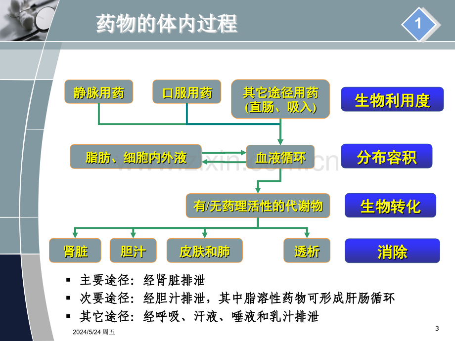 肾功能不全患者的合理用药PPT课件.ppt_第3页