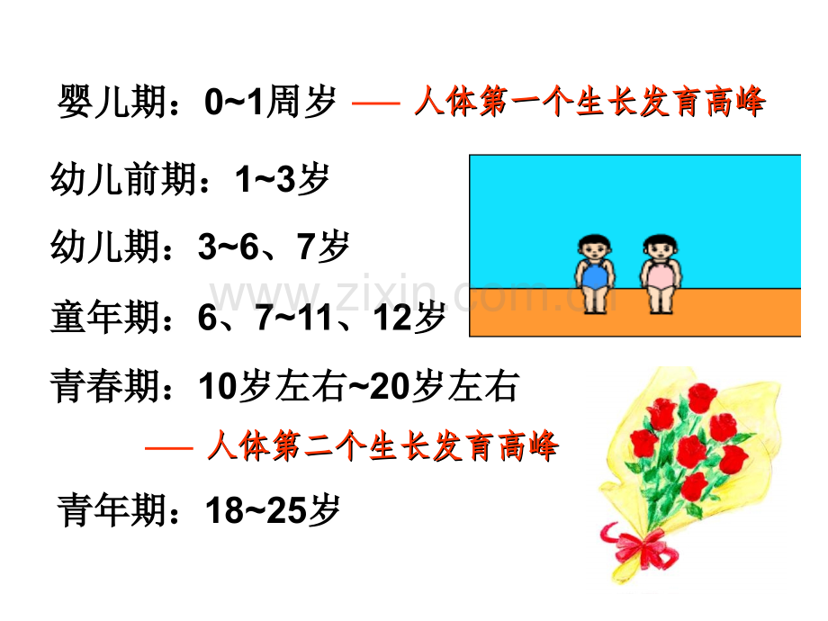 青春期生理与心理特点-(2)课件PPT课件.ppt_第3页