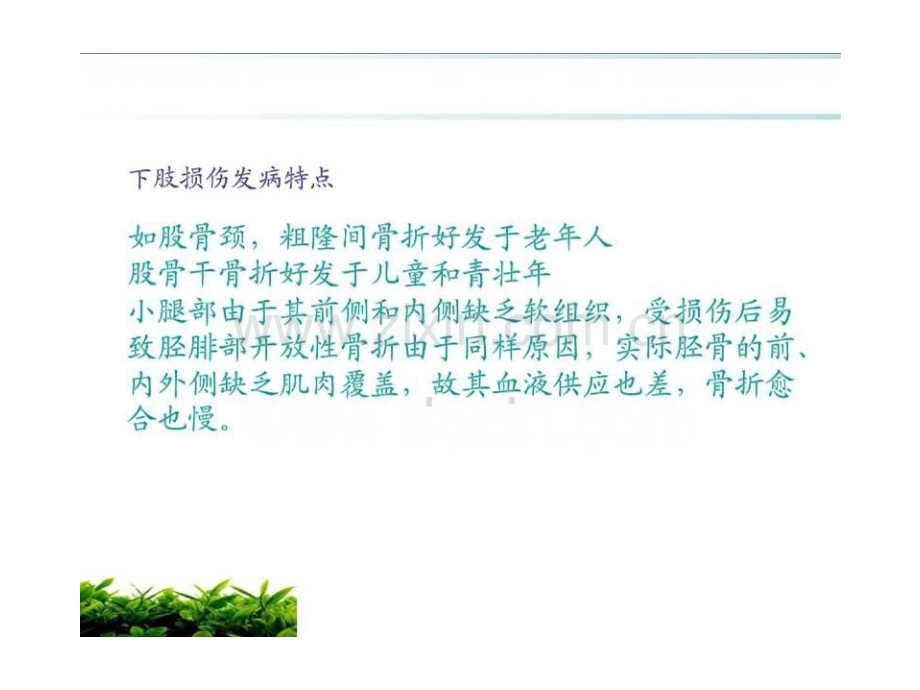 下肢损伤病人的护理.ppt_第3页