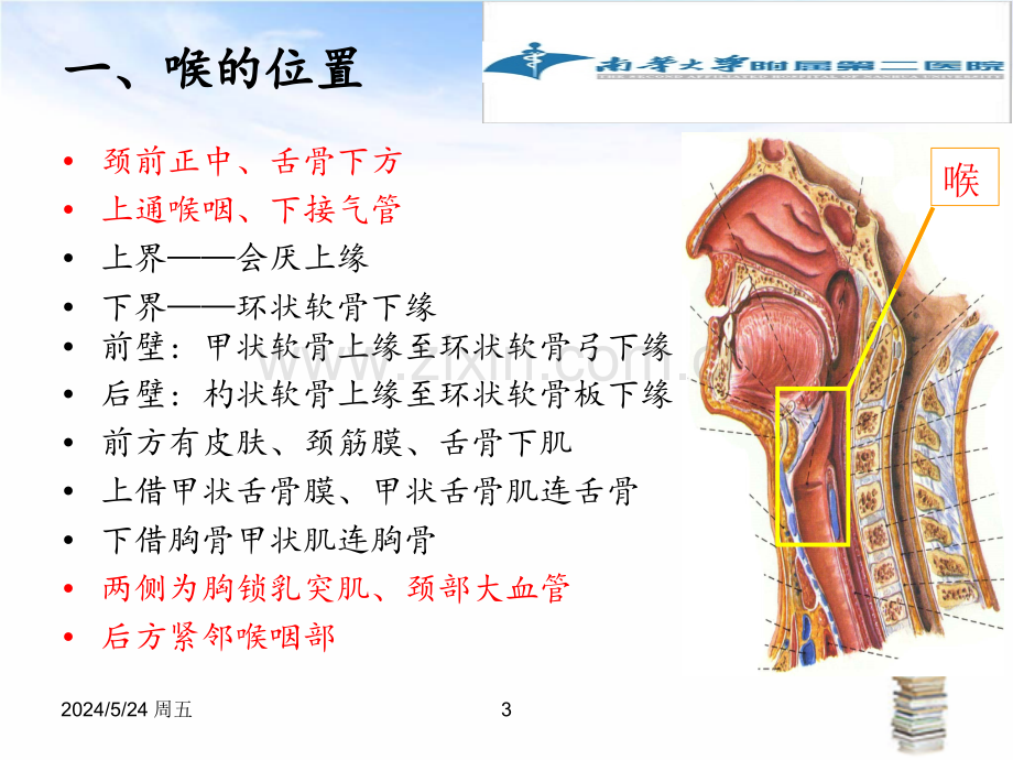 喉癌相关知识--周芳.pptx_第3页