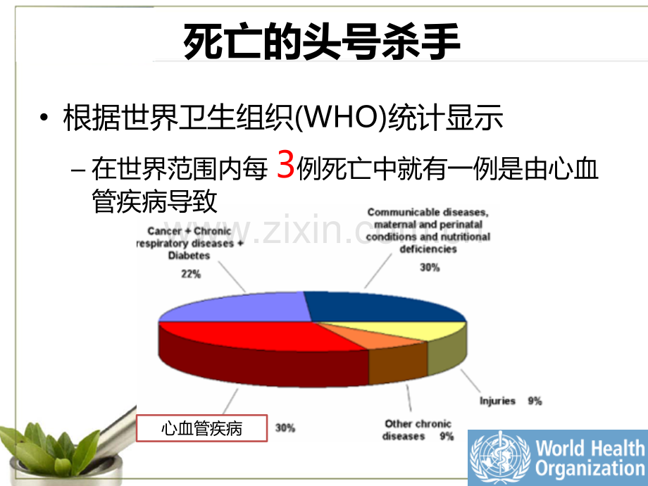 心血管健康与保健.pptx_第3页