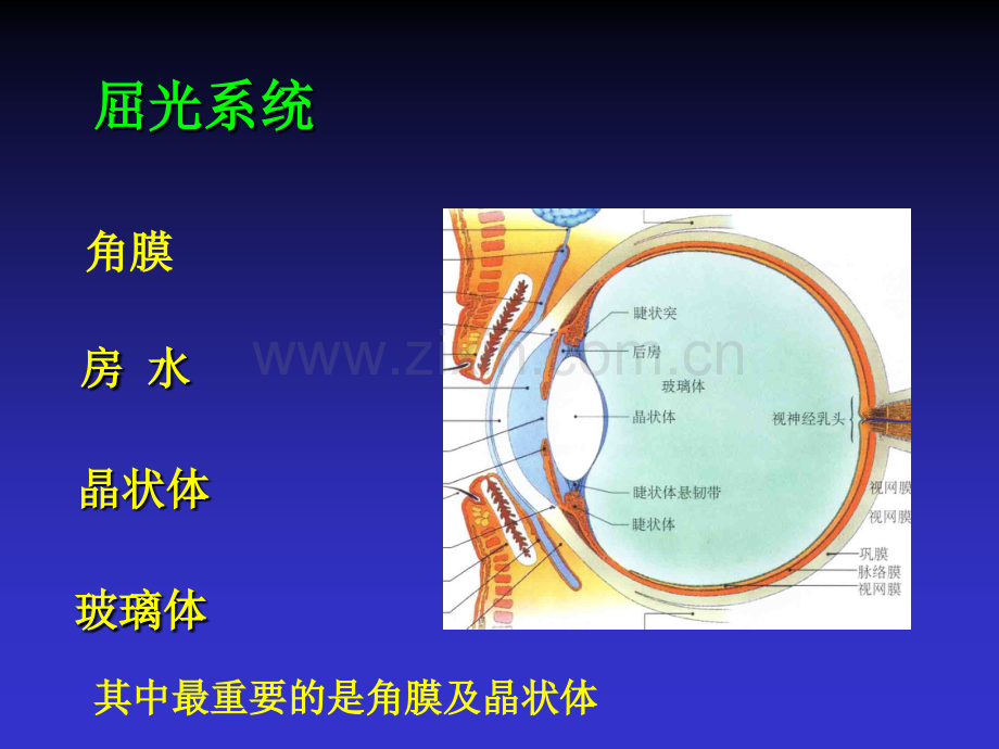 屈光不正与老视.ppt_第3页