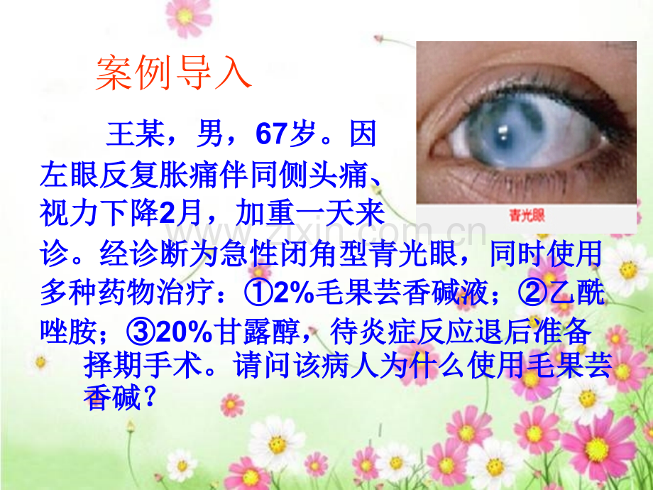 毛果芸香碱讲课.ppt_第2页