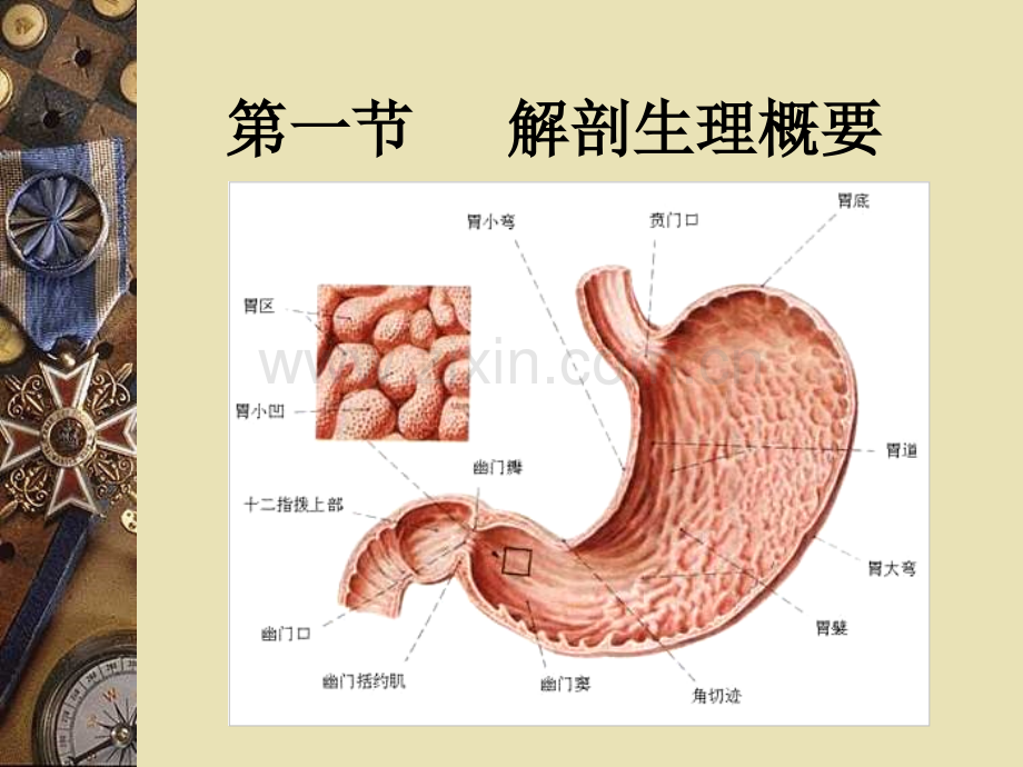 胃十二指肠溃疡病人的护理2.ppt_第3页