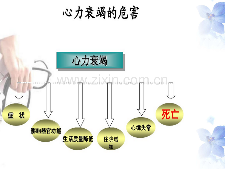 心衰的观察与护理.ppt_第3页