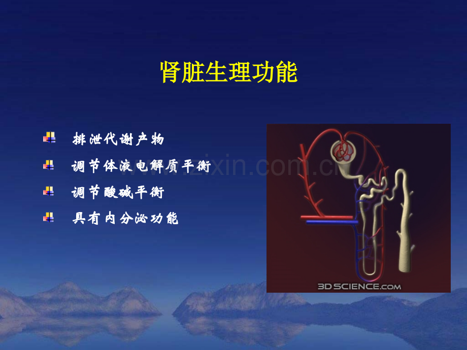 泌尿系统疾病营养治疗.ppt_第3页