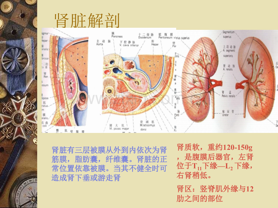 医学泌尿系统结石PPT课件.ppt_第3页