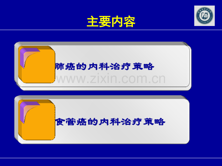 胸部肿瘤内科治疗策略.ppt_第3页