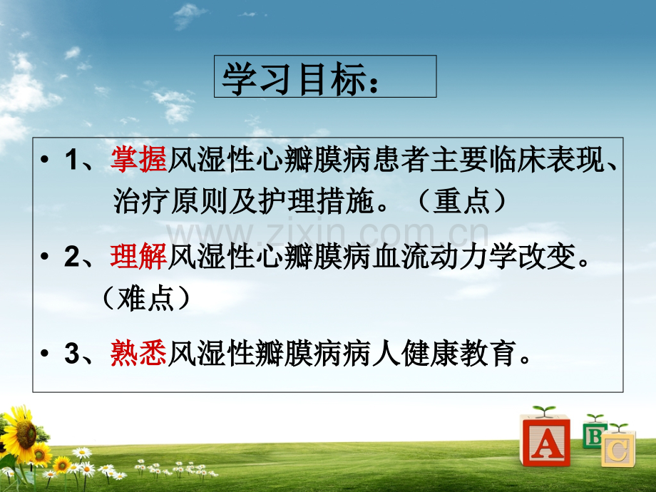 心瓣膜病护理-PPT课件.ppt_第2页