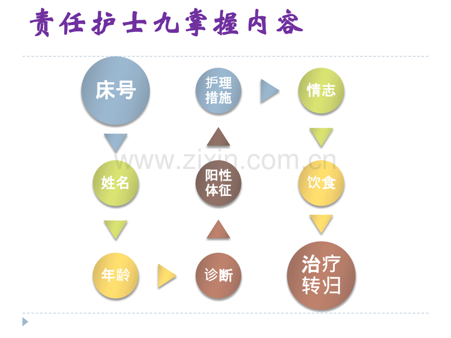 责任护士九掌握.pptx_第2页