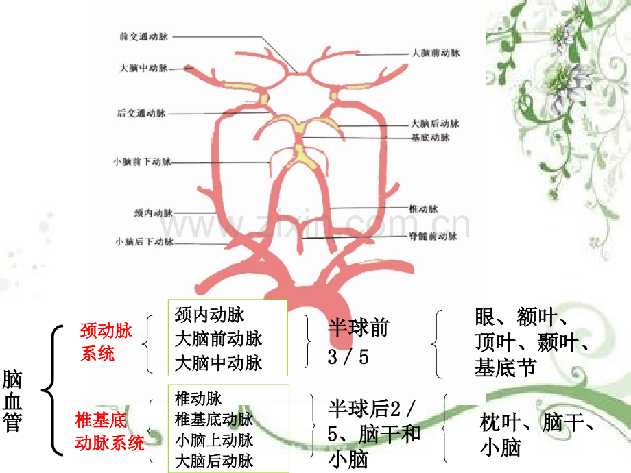 急性脑卒中急诊治疗.ppt_第3页