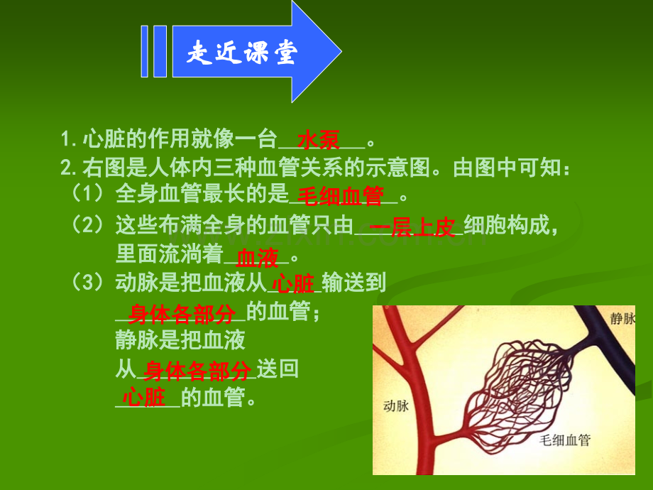 物质运输的途径有动画.ppt_第2页