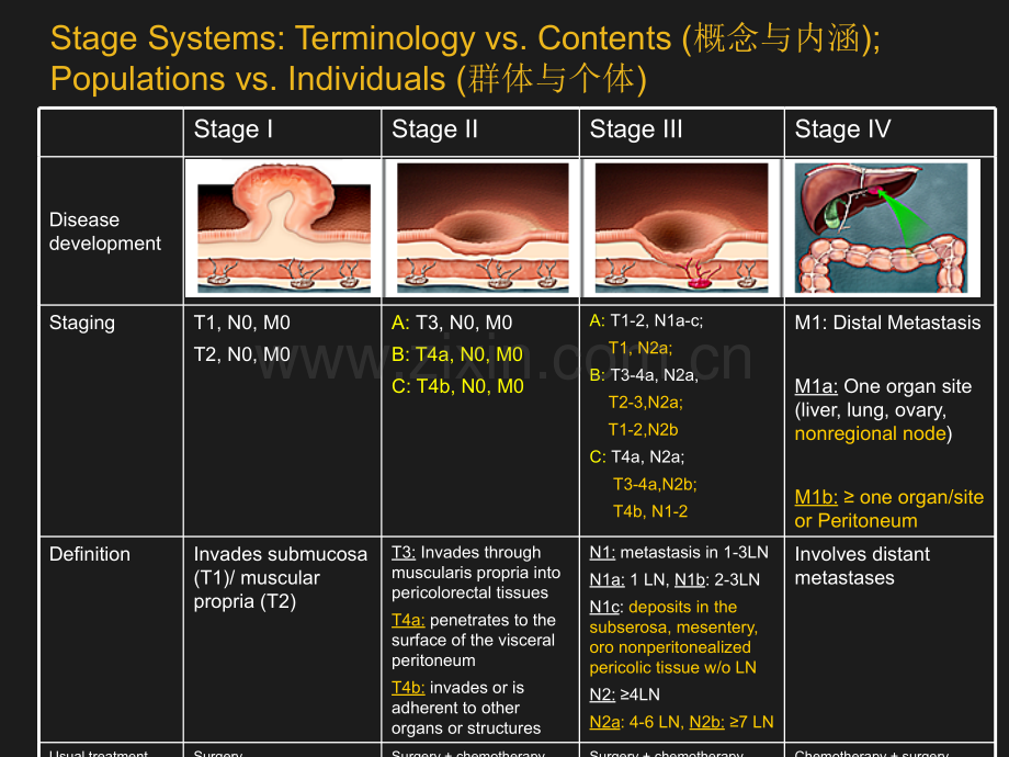 系统性大肠癌治疗PPT课件.ppt_第3页